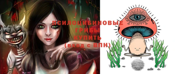 спайс Киреевск